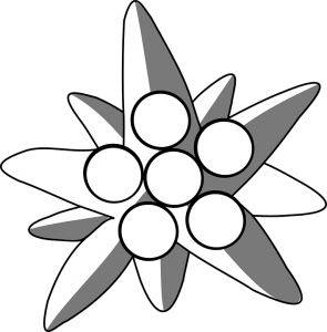 Edelweiss PNG-66291